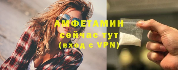 прущие грибы Белокуриха