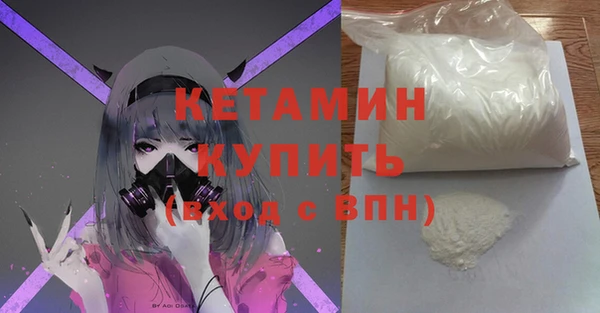 прущие грибы Белокуриха