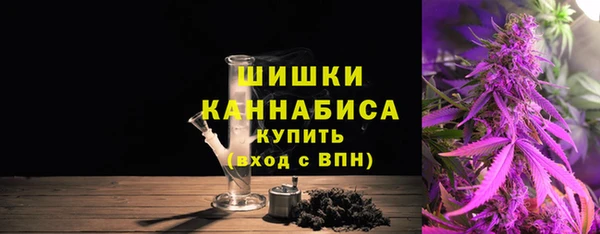 прущие грибы Белокуриха