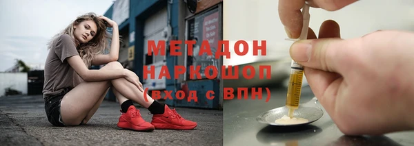 прущие грибы Белокуриха