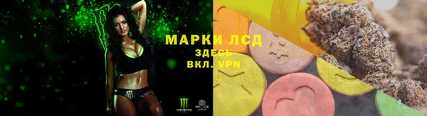 прущие грибы Белокуриха