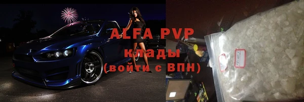 прущие грибы Белокуриха
