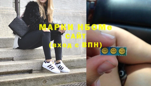 прущие грибы Белокуриха
