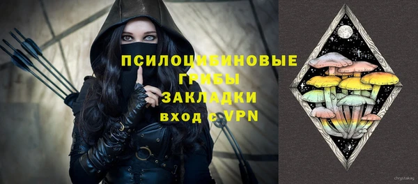 прущие грибы Белокуриха