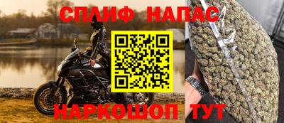 хмурый Бийск