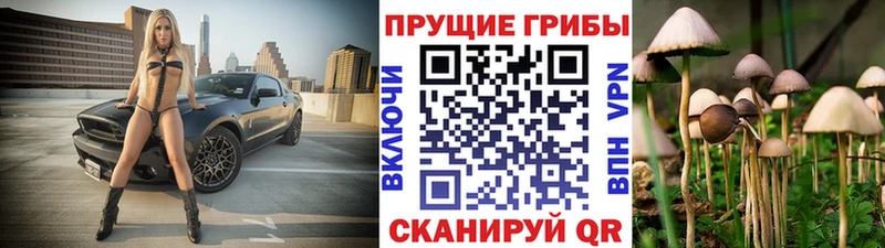 Галлюциногенные грибы ЛСД  Вязники 